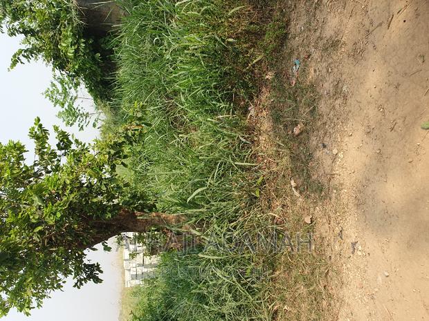 Plot for Sale at Brofuyedro Darko · Photo 5