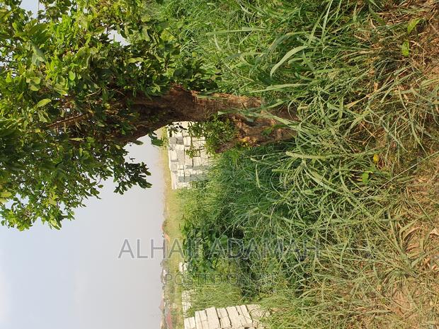 Plot for Sale at Brofuyedro Darko · Photo 6