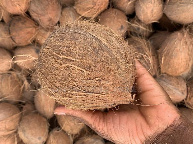 Cold Pressed Coconut Oil 1l · Photo 4