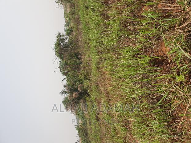 Four Plots of Lands at Santasi Darko New Site · Photo 3