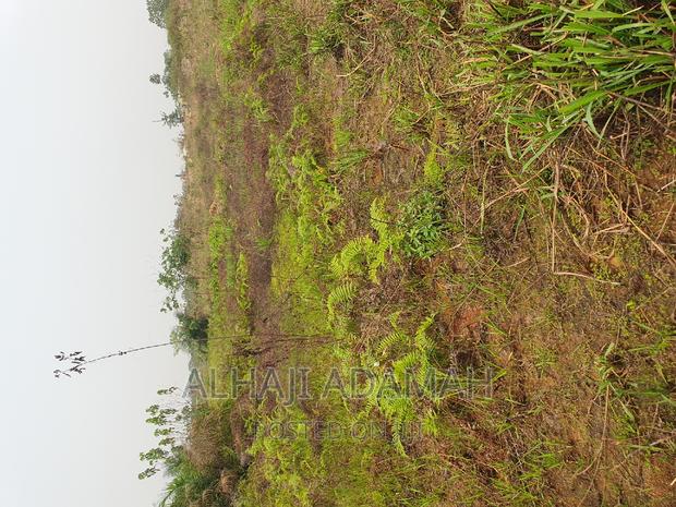 Four Plots of Lands at Santasi Darko New Site · Photo 4