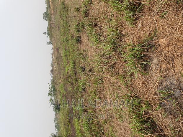 Four Plots of Lands at Santasi Darko New Site · Photo 6