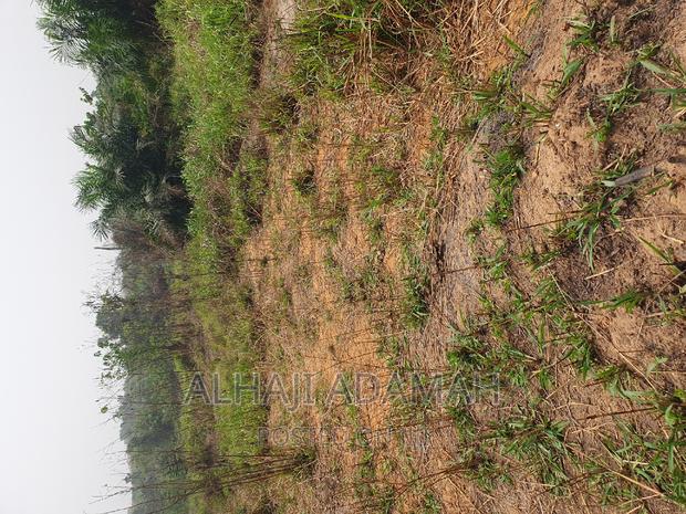 Four Plots of Lands at Santasi Darko New Site · Photo 7