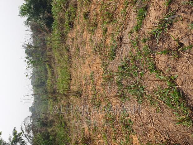 Four Plots of Lands at Santasi Darko New Site · Photo 8