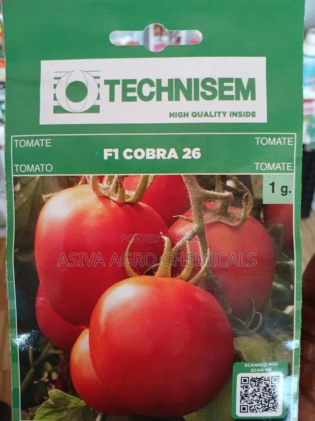 Cobra 26 1gram Tomato Seeds · Photo 1