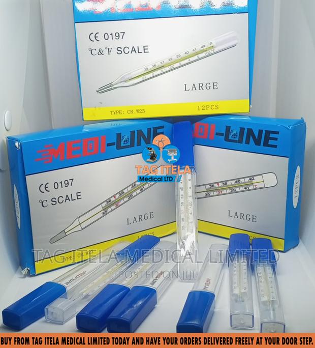 Thermometer (Clinical) · Photo 1