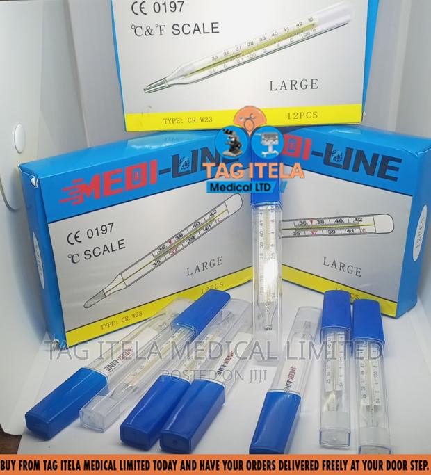Thermometer (Clinical) · Photo 2