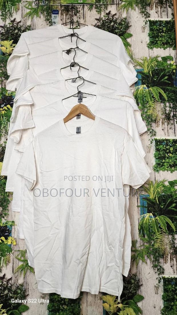 Quality and Affordable Plain T-Shirts From USA · Photo 3