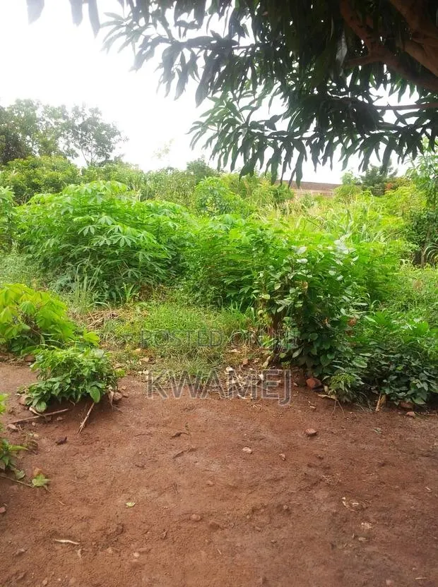 Plot of Land, Greater Accra · Photo 1
