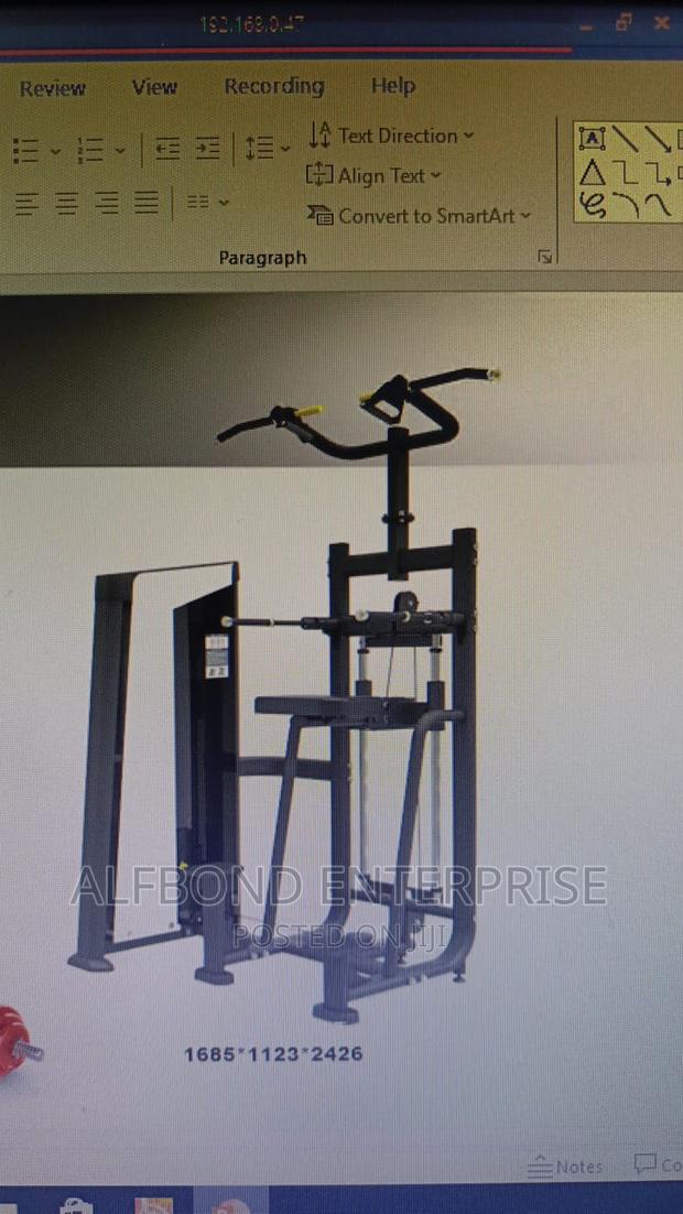 Commercial Assisted Dip/Chin Machine · Photo 2