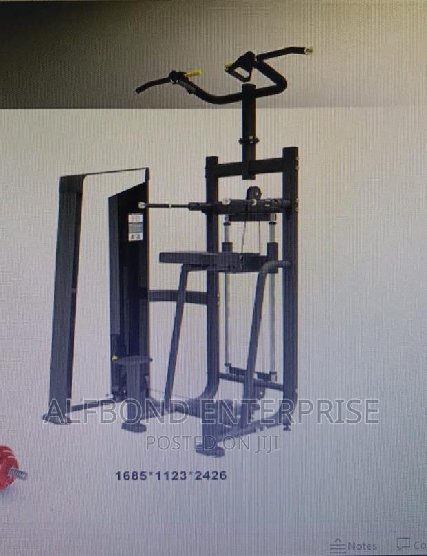 Commercial Assisted Dip/Chin Machine · Photo 1