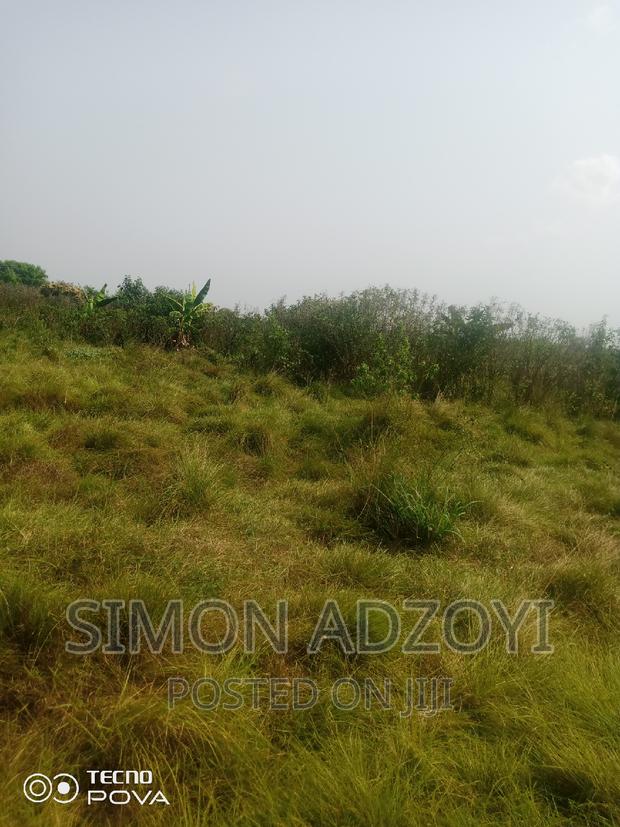 Land for Sale · Photo 2