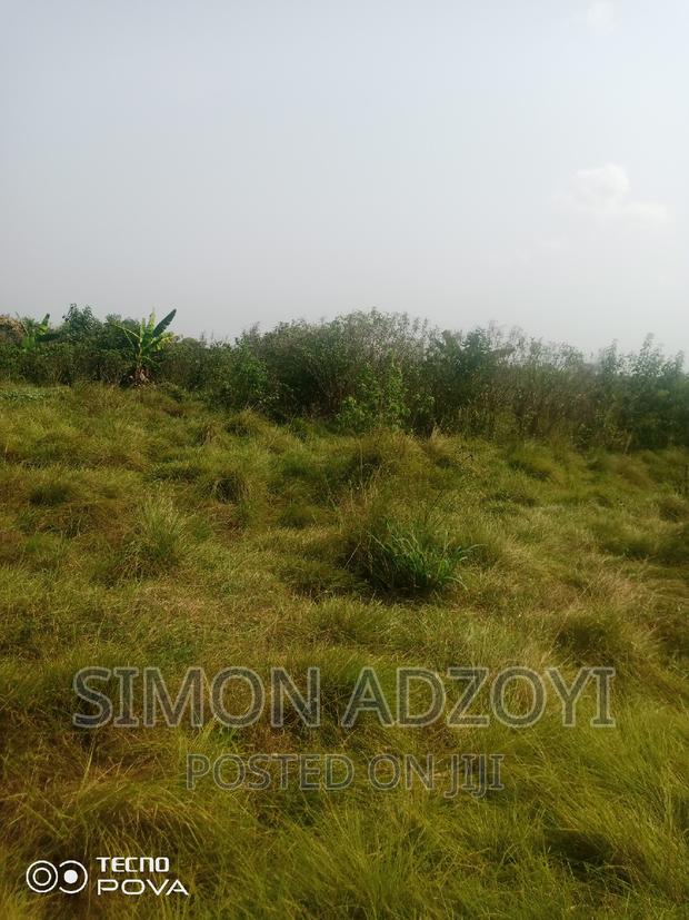 Land for Sale · Photo 3