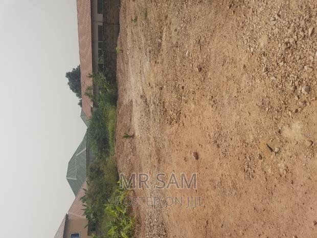 2plot of Land for Sale at Tuba Road · Photo 2