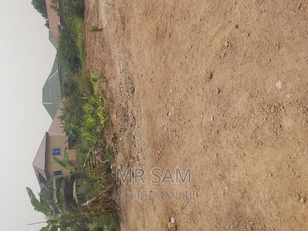 2plot of Land for Sale at Tuba Road · Photo 5