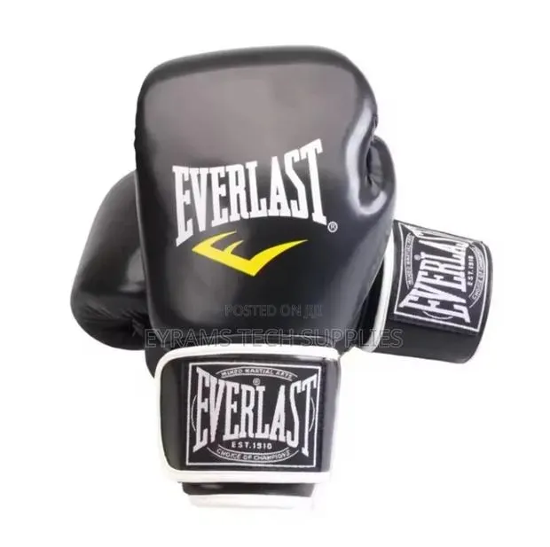 Everlast Boxing Gloves Training Fighting Professional · Photo 1