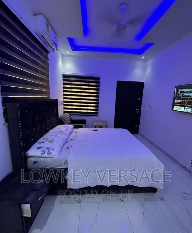 Furnished Studio Apartment + Gen+Starlink Internet+ DSTV · Photo 1