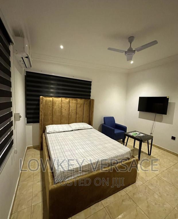 Furnished Studio Apartment + Gen+Starlink Internet+ DSTV · Photo 2
