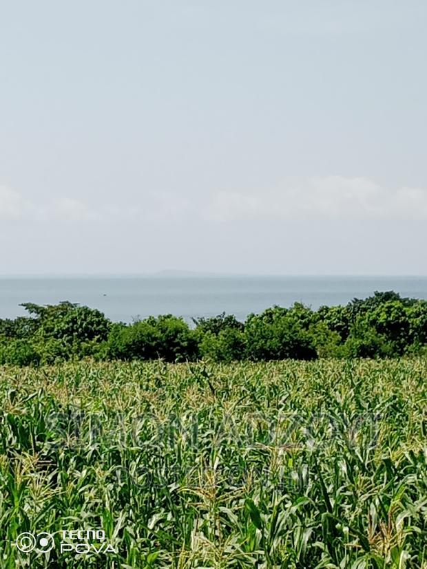 10,000 Acres of Farm Land for Sale or Lease · Photo 3