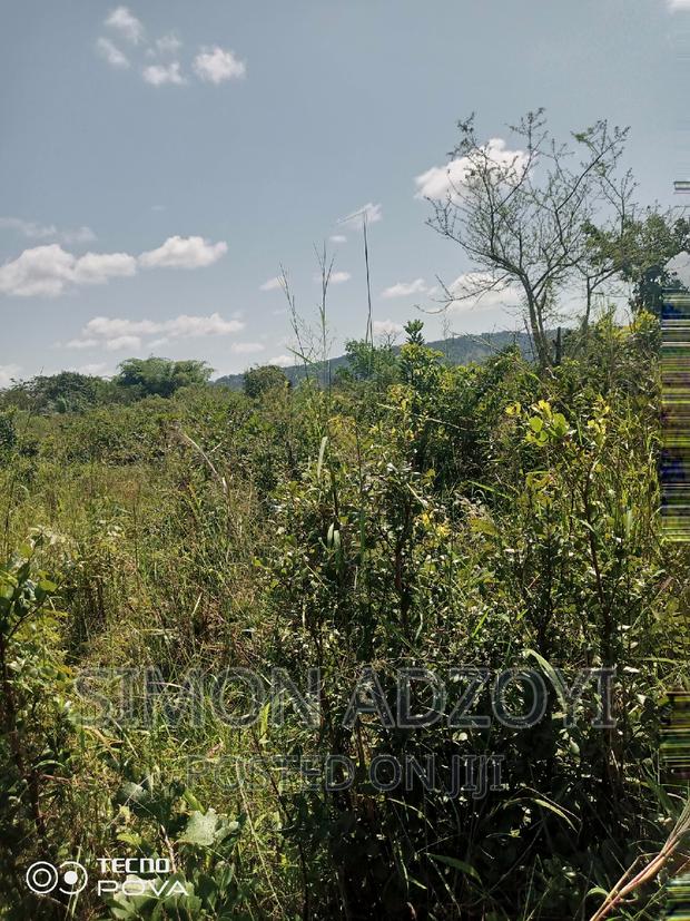 10,000 Acres of Farm Land for Sale or Lease · Photo 4