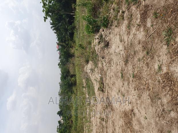 Half Plot for Sale at Brofuyedro Darko · Photo 2