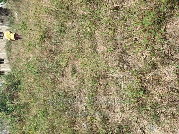 Half Plot for Sale at Brofuyedro Darko · Photo 3