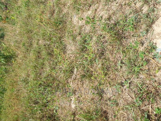 Half Plot for Sale at Brofuyedro Darko · Photo 6
