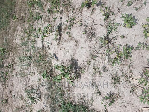 Half Plot for Sale at Brofuyedro Darko · Photo 7