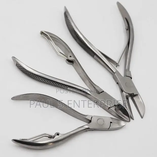 Piglet Teeth Cutter Big Size 14cn Wholesale and Retail · Photo 1