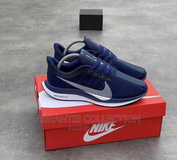 Nike Zoon Pegasus · Photo 1