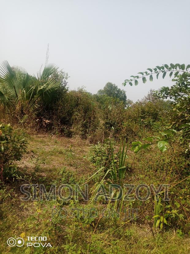 60,000 Acres of Farm Land in Kintampo · Photo 1
