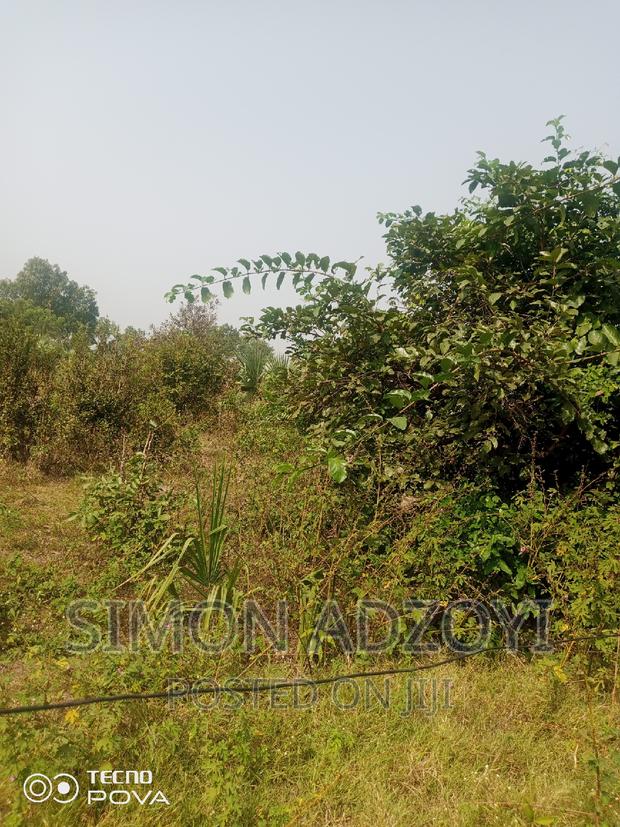 60,000 Acres of Farm Land in Kintampo · Photo 2