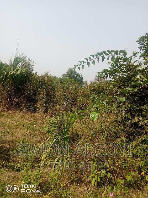 60,000 Acres of Farm Land in Kintampo · Photo 5
