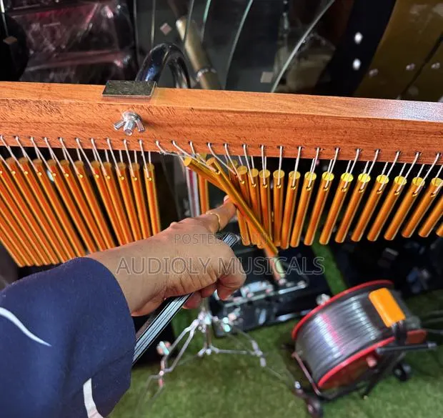 Yamaha Drum Cham · Photo 1