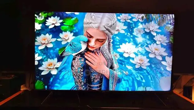 Samsung 65inches · Photo 1