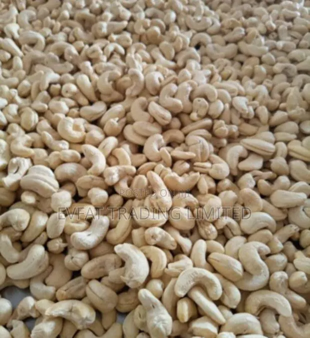 Cashew Kernels · Photo 1