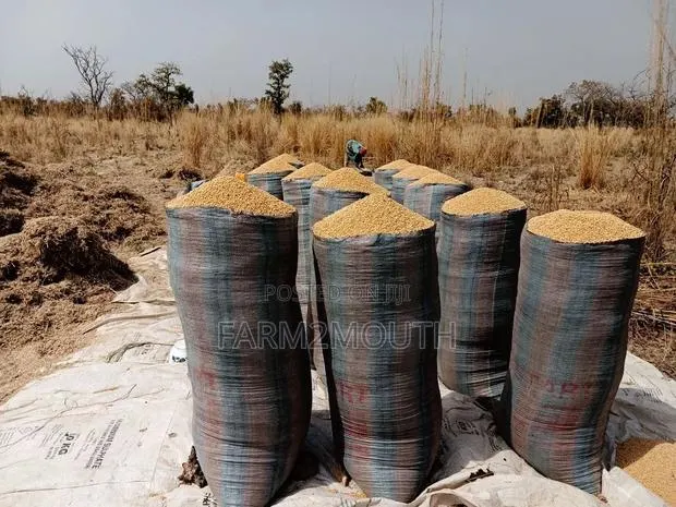 Soya Bean 100kg · Photo 1