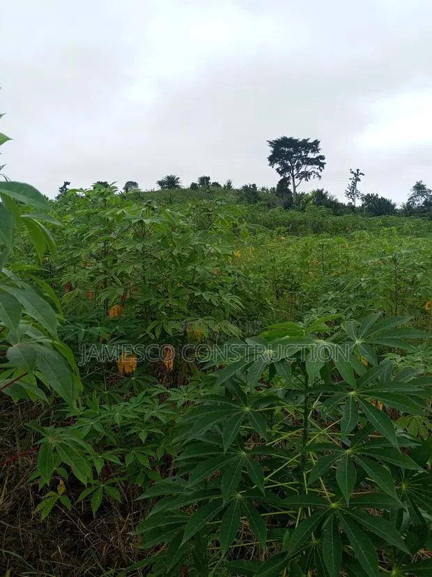 Farmland for Sale · Photo 1
