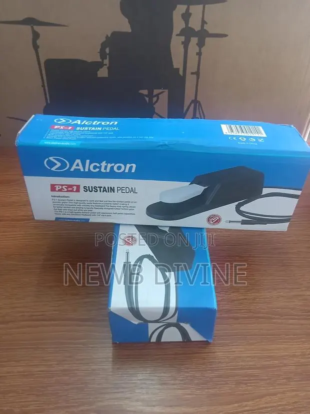 Alctron Sustained Pedal · Photo 1