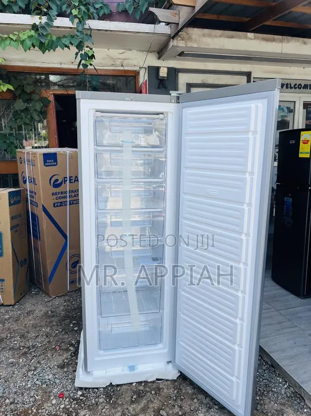 Get Unique Nasco Nasd1-33 Single Door Upright Standing Freezer(Gray) · Photo 1