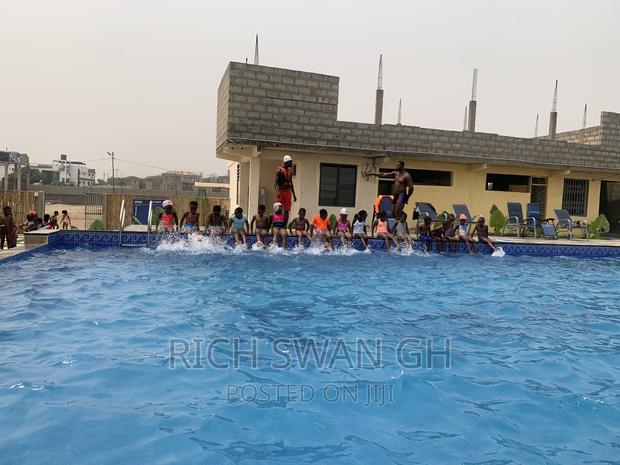 Swan Swimming Lessons · Photo 4