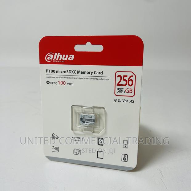 Dahua Micro Sd Card P100/256gb · Photo 2