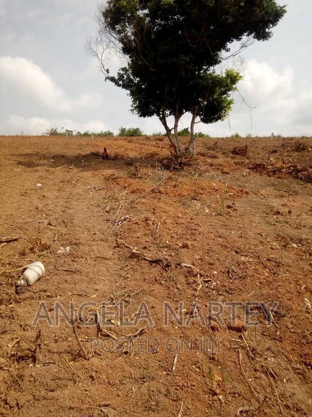 Land for Sale at Tsopoli · Photo 3