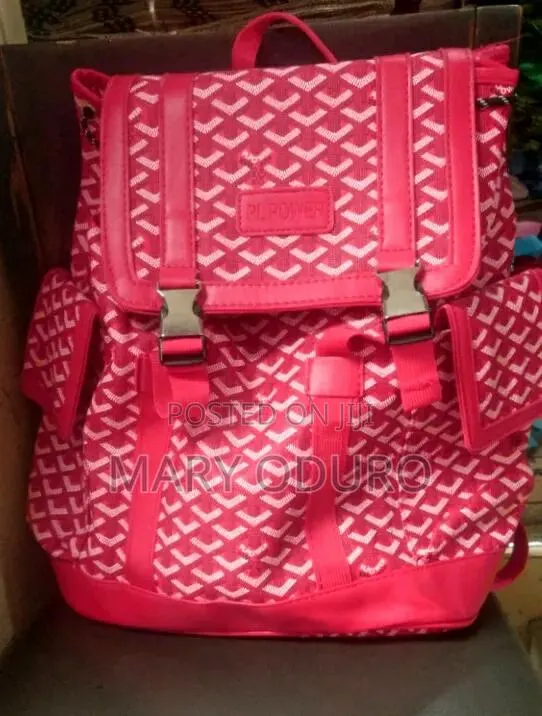 Goyard Bag · Photo 1