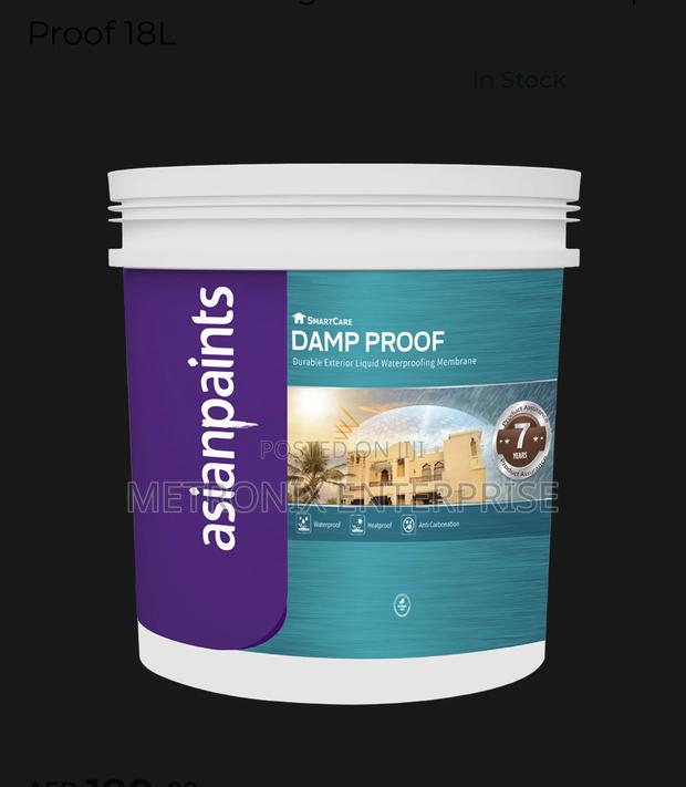Damp Proof Paint ,(Exterior Liquid Waterproofing Paint) · Photo 1