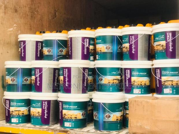 Damp Proof Paint ,(Exterior Liquid Waterproofing Paint) · Photo 2