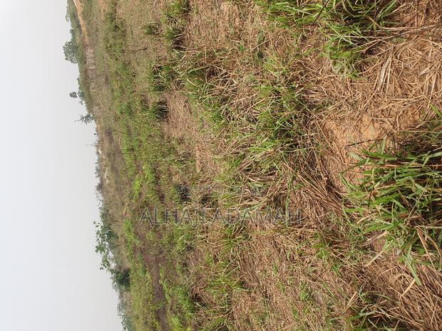 Land for Sale at Brofuyedro Darko · Photo 1