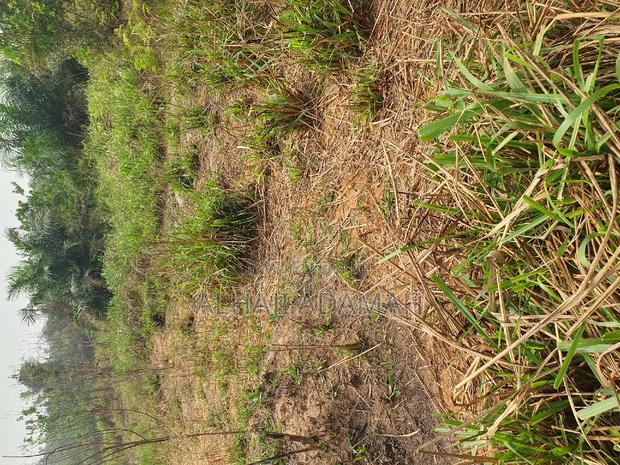 Land for Sale at Brofuyedro Darko · Photo 2