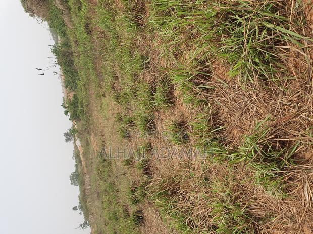 Land for Sale at Brofuyedro Darko · Photo 3