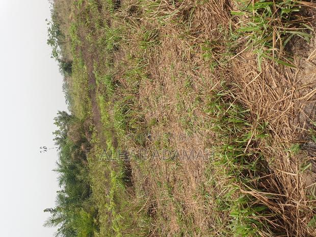 Land for Sale at Brofuyedro Darko · Photo 5
